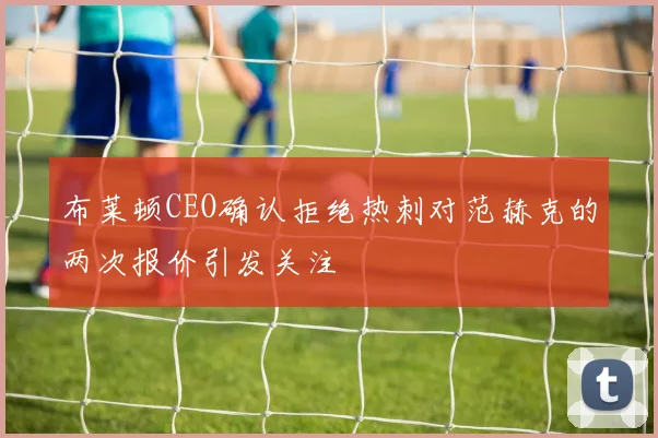 布莱顿CEO确认拒绝热刺对范赫克的两次报价引发关注
